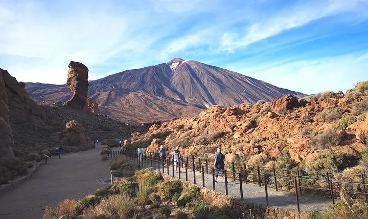 Small Group Teide National Park Volcanic and Forest Wonders