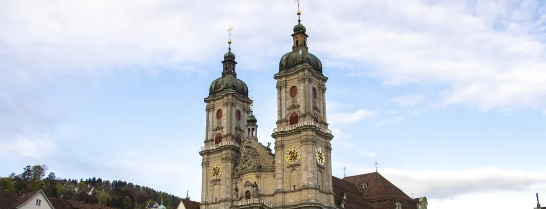 Exclusive historical walking tour of St.Gallen with a local