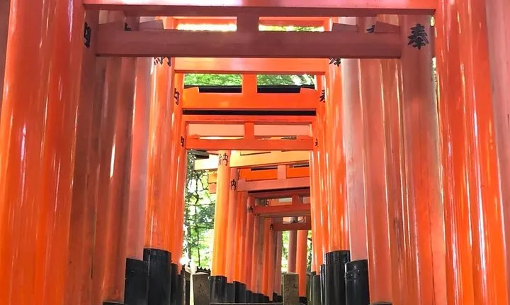 【Fushimi inari shrine】A local born in Kyoto shares the secret path away tourists
