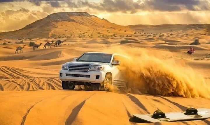 Desert Safari 4x4 Dunes, Camel Riding, BBQ & Live Shows