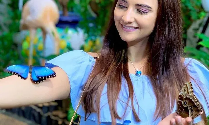 Dubai Butterfly Garden Ticket