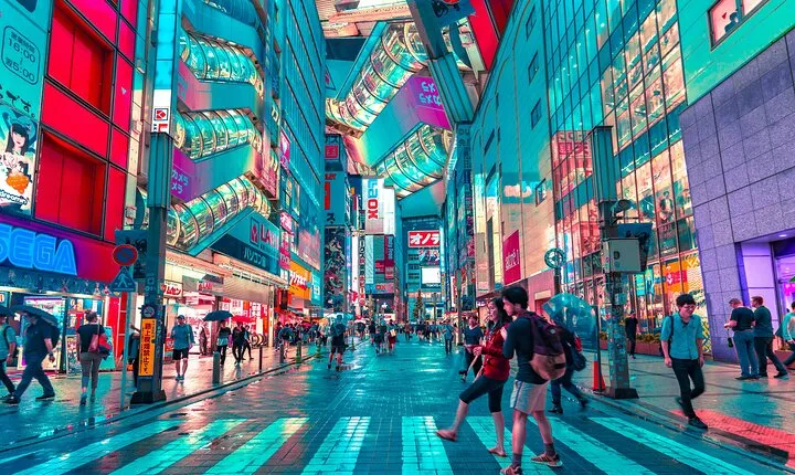 Tokyo Private Driving Tour by Car or Van with Chauffeur