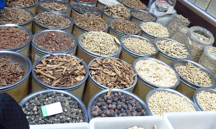 Half-day Xi'an Regimen and Tai Chi Tour