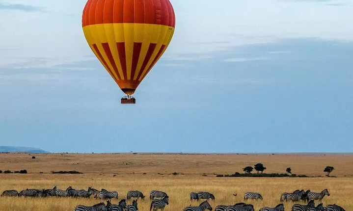 5Day Wild Heart Masai Mara, Nakuru and Naivasha Tour