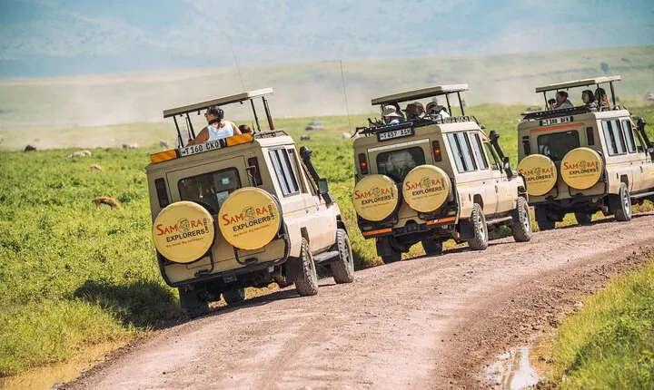 6-DayThe Best of Northern Tanzania Safari