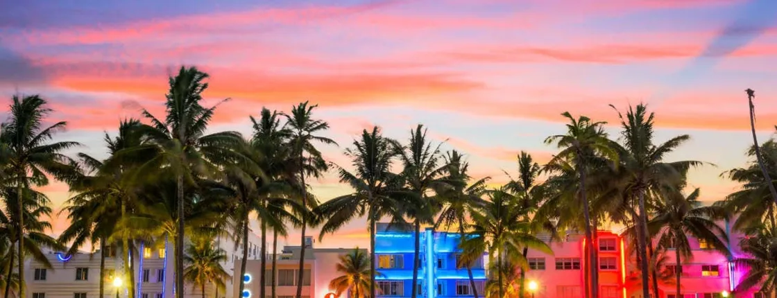 Scenic Miami night tour with Skyview Miami Wheel tickets