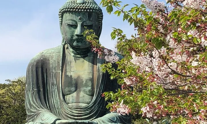 Historic Kamakura: Temples, Shrines and Street Food Private Walking Tour