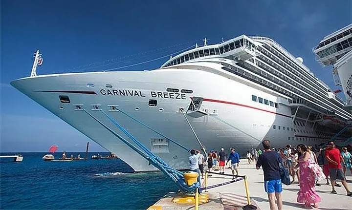 From Semarang port: Borobudur Temple excursion - Cruise Ship Traveler