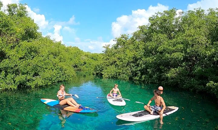 Paddle and Snorkel in Cenote - Riviera Maya