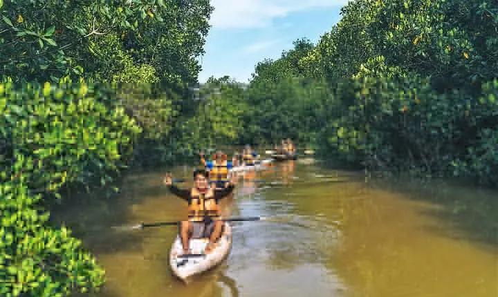 Puerto Escondido: Manialtepec Lagoon by Kayak