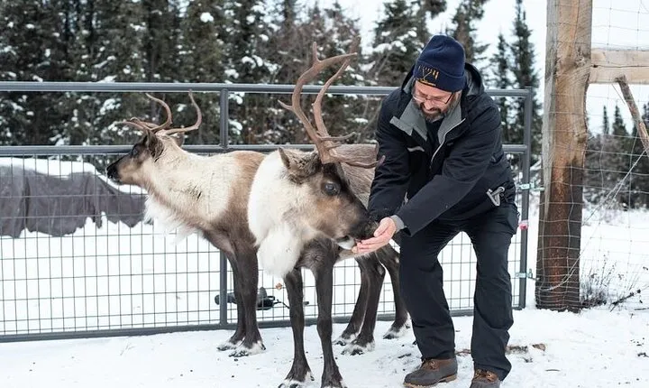 Reindeer Meet and Greet
