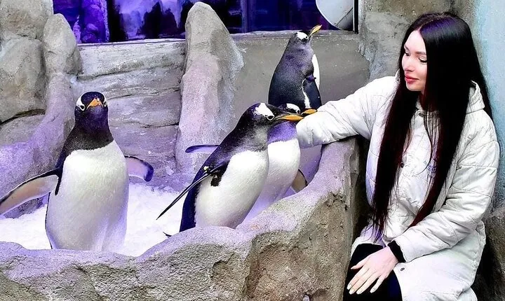 Dubai Aquarium & Underwater Zoo + Penguin Cove Entry Tickets