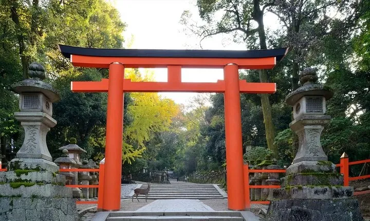Nara Afternoon Tour from Kyoto