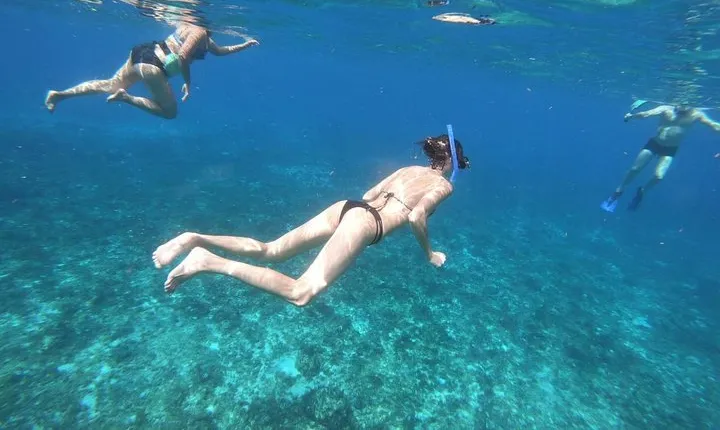 Snorkeling Experience Cozumel only from Playa del Carmen