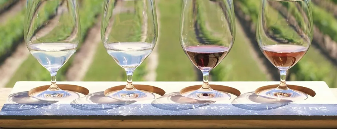 Chocolate, Wine and Niagara-on-the-Lake Tour from Toronto