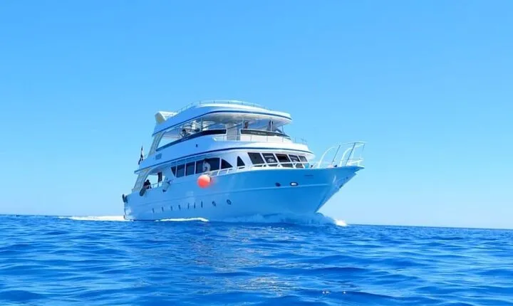 Dolphin House Boat Trip With Snorkeling & Lunch From Hurghada