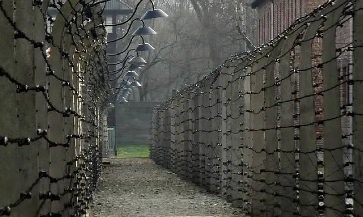 Full-Day Tour of Auschwitz-Birkenau and Salt Mine from Krakow