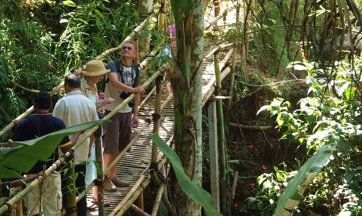 An Eco-Walk through Green Bali