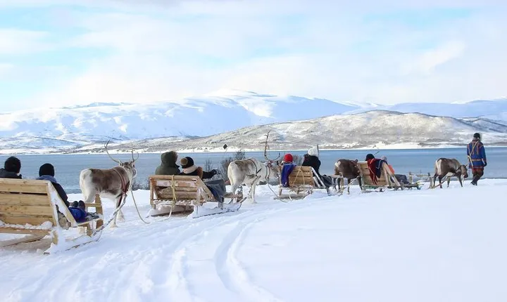 Sami Culture and Short Reindeer Sledding from Tromso