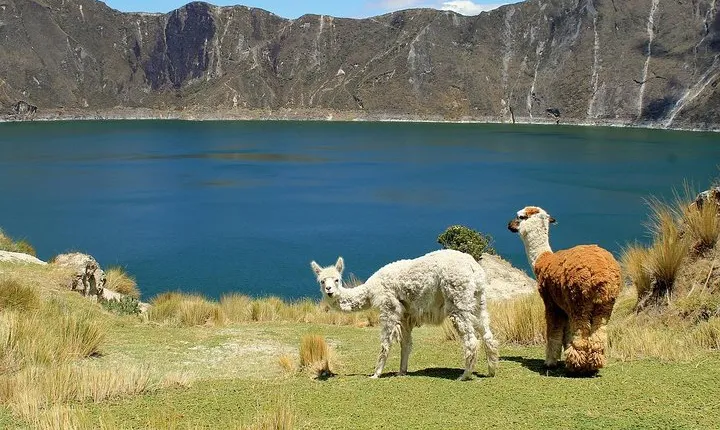 Cultural Tour Laguna Quilotoa: Hiking and Descent to the Lagoon all included