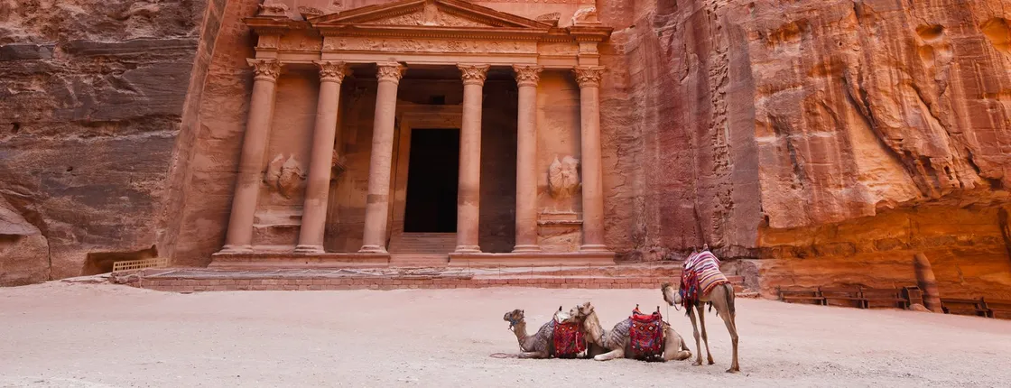 Round trip transfers to Petra