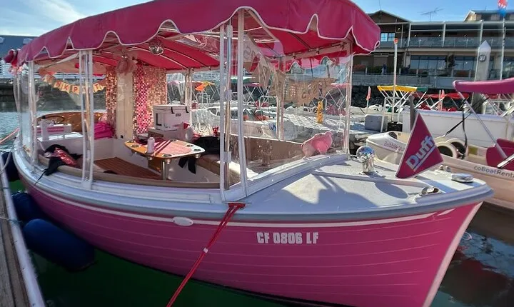 2-Hour Private Pink Bachelorette Boat Cruise in San Diego Bay