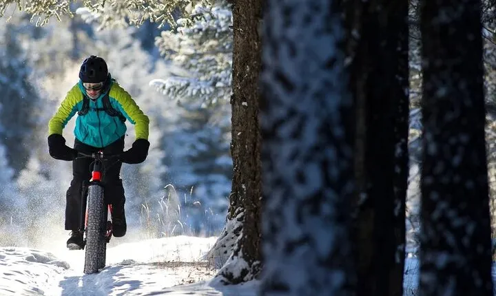 Lapland Winter Park eFat Bike Safari in Rovaniemi