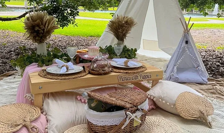 Themed Luxury Picnic
