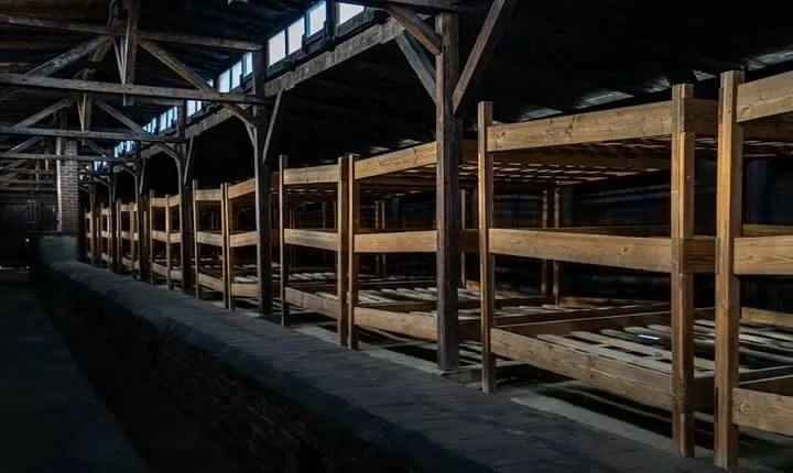 Auschwitz and Birkenau Tour