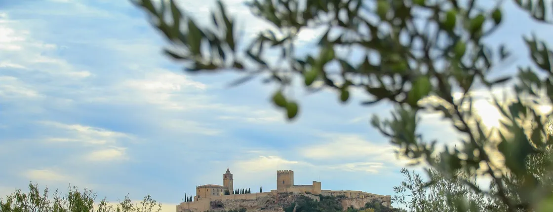 Fortress of La Mota entrance ticket with audio guide