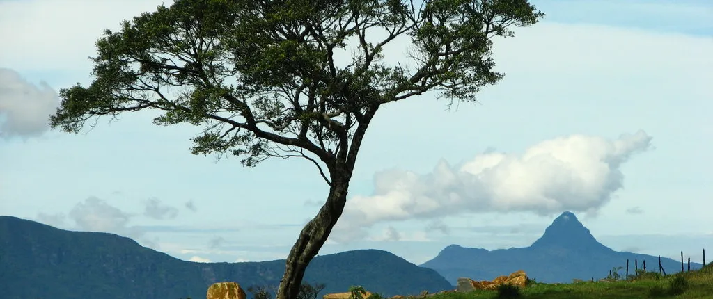 03 Day Nuwara Eliya & Ambewela Tour