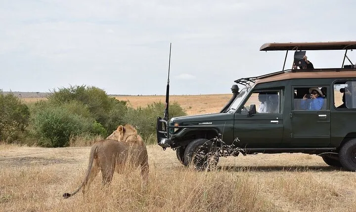 3 Days Maasai Mara Budget Safari From Nairobi