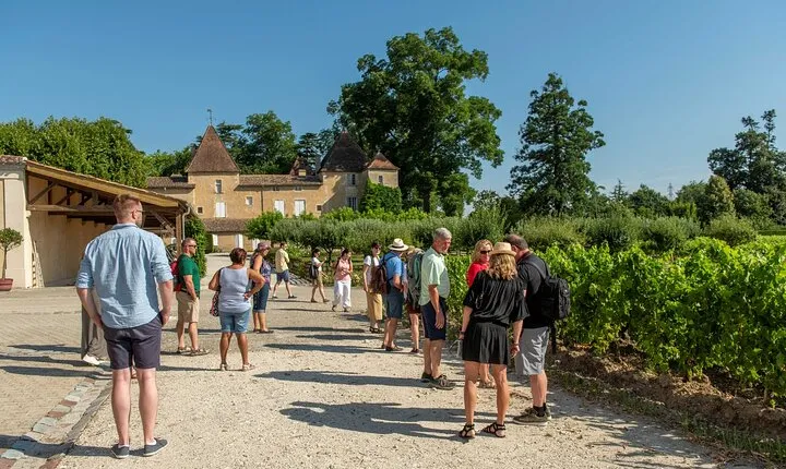 Half-Day Wine tour across Bordeaux’s Vineyards