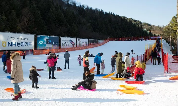 [Private Tour] Nami Island & Snow Viewing and Snow sled (More Members Less Cost)