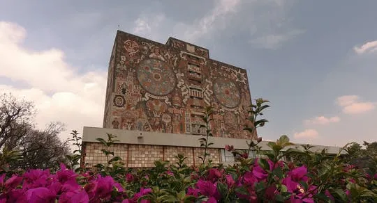 Xochimilco boat ride and university tour