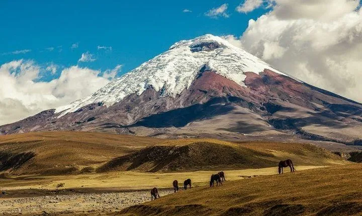 Slow travel through Cotopaxi, Quilotoa, Banos and Amazon Rainforest