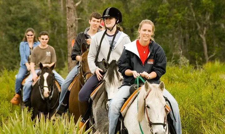 Kemer Horseback Riding Tour with Roundtrip Transfer