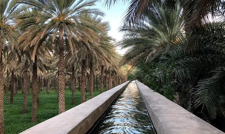 Old Nizwa authentic walks