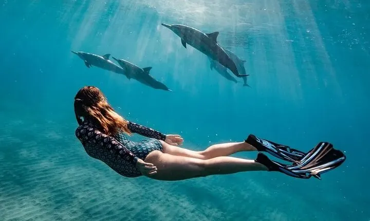 Hurghada Boat Trip to See Dolphins With Snorkeling and Lunch