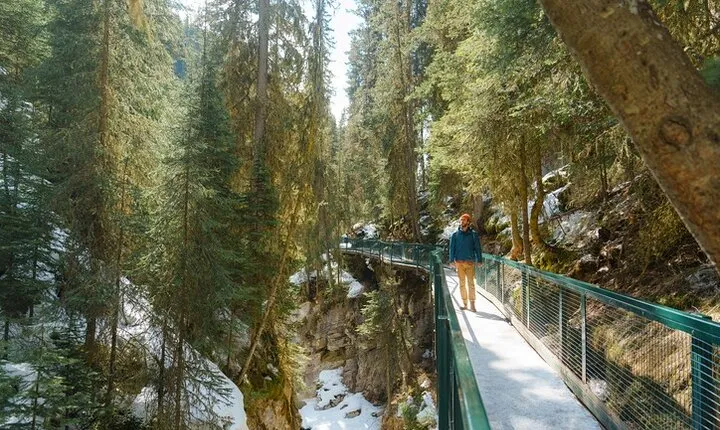 From Banff/Canmore: Lake Louise & Johnston Canyon Adventure