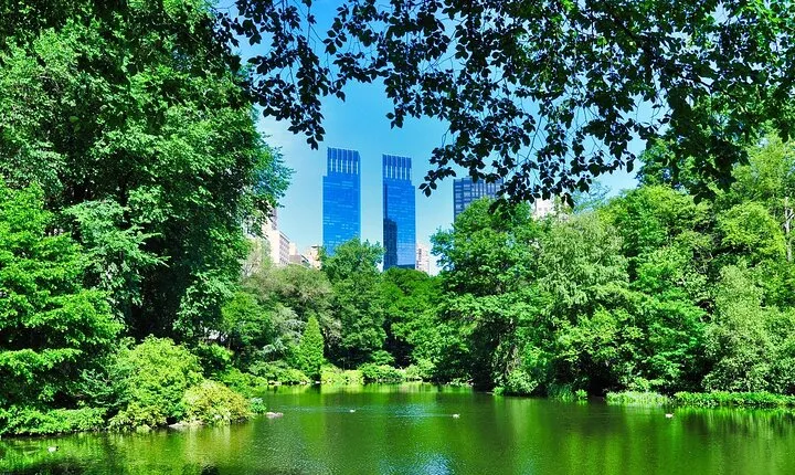 New York City Sensi Stone Mystery Self Guided Family Quest