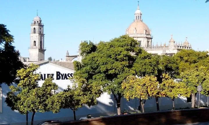 Walking tour in Jerez