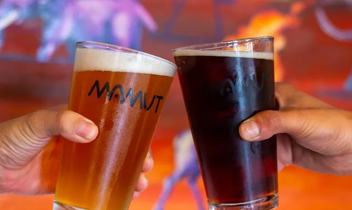 Mexican Craft Beer Tour from San Diego