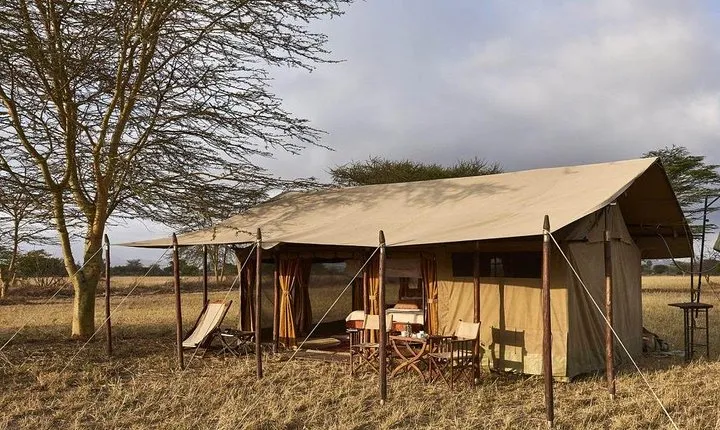 4 Day Adventure Lake Manyara , Serengeti & Ngorongoro