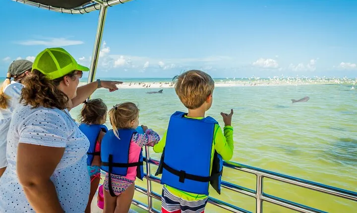 Marco Island Wildlife Sightseeing and Shelling Tour