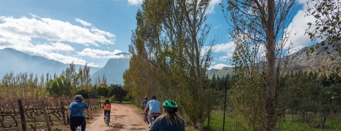Franschhoek Winelands 7 hour Private E-Bike Tour with Lunch