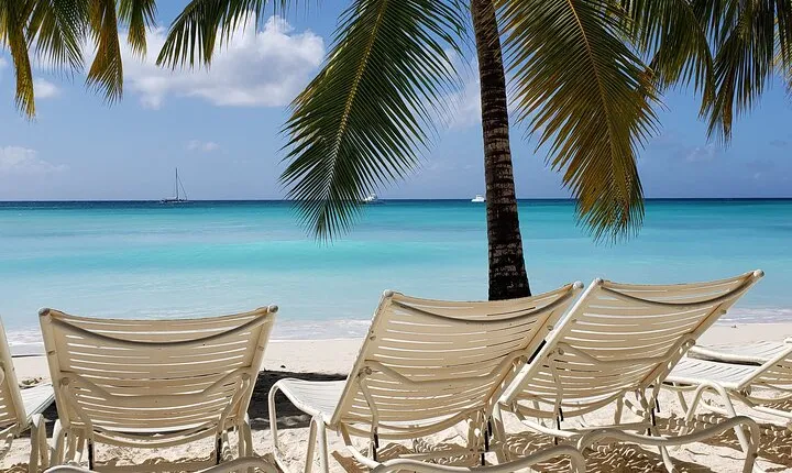 Small Group: Saona Island Full Day Tour