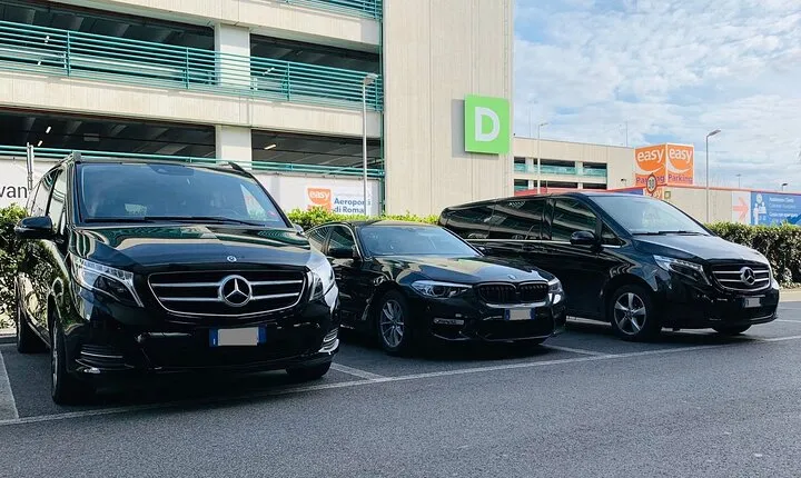 Ladispoli to Fiumicino Rome Airport Private Departure Transfer