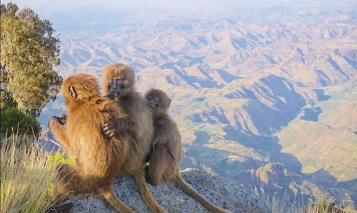 7 Days Northen Ethiopia Tour
