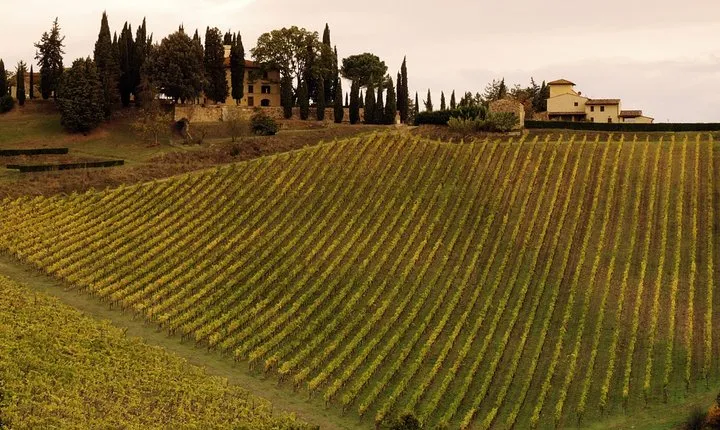 Montalcino and Pienza Tuscany Wine&Cheese Fullday from Florence